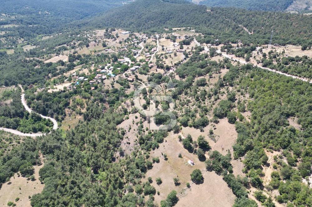 ÇANAKKALE MERKEZ BODURLAR KÖYÜNDE 7.014 M² SATILIK TARLA