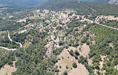 ÇANAKKALE MERKEZ BODURLAR KÖYÜNDE 7.014 M² SATILIK TARLA