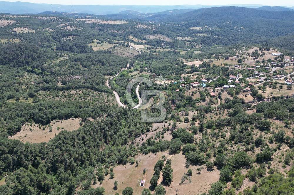 ÇANAKKALE MERKEZ BODURLAR KÖYÜNDE 7.014 M² SATILIK TARLA