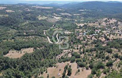 ÇANAKKALE MERKEZ BODURLAR KÖYÜNDE 7.014 M² SATILIK TARLA
