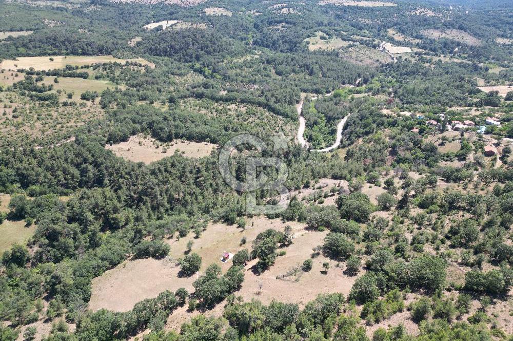ÇANAKKALE MERKEZ BODURLAR KÖYÜNDE 7.014 M² SATILIK TARLA