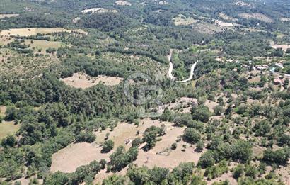 ÇANAKKALE MERKEZ BODURLAR KÖYÜNDE 7.014 M² SATILIK TARLA