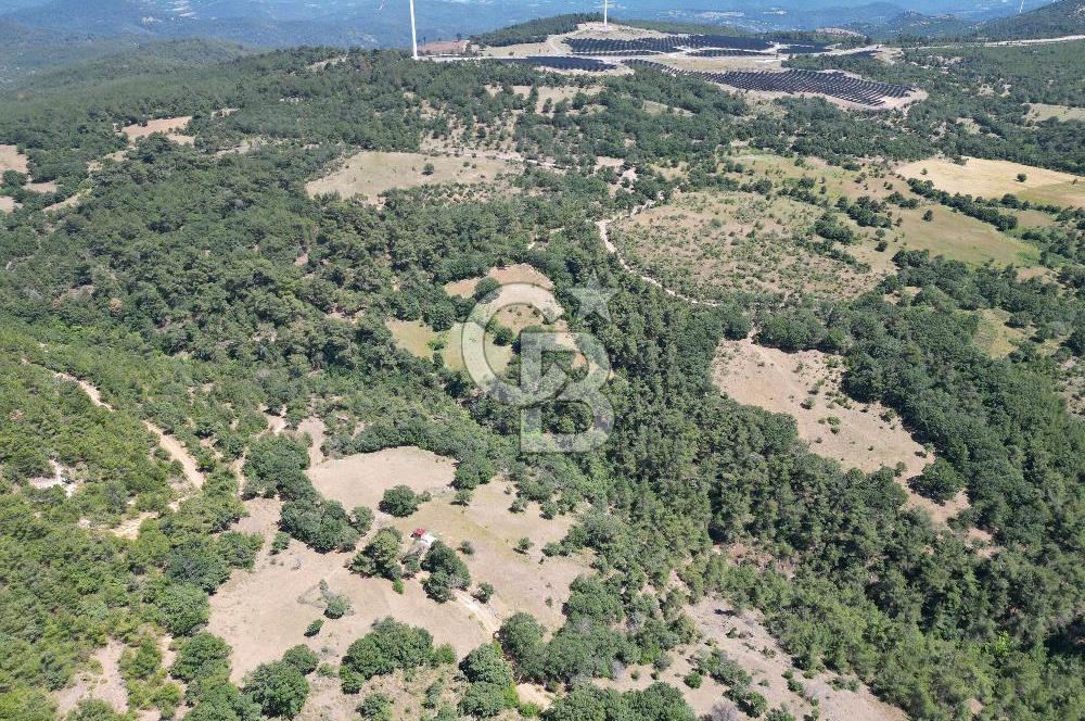 ÇANAKKALE MERKEZ BODURLAR KÖYÜNDE 7.014 M² SATILIK TARLA