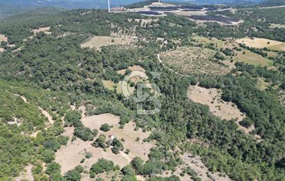 ÇANAKKALE MERKEZ BODURLAR KÖYÜNDE 7.014 M² SATILIK TARLA