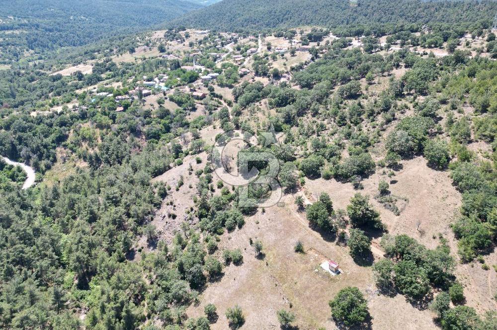 ÇANAKKALE MERKEZ BODURLAR KÖYÜNDE 7.014 M² SATILIK TARLA