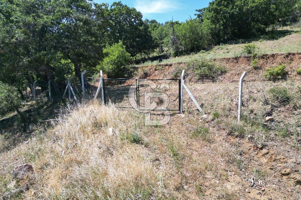 ÇANAKKALE MERKEZ BODURLAR KÖYÜNDE 7.014 M² SATILIK TARLA