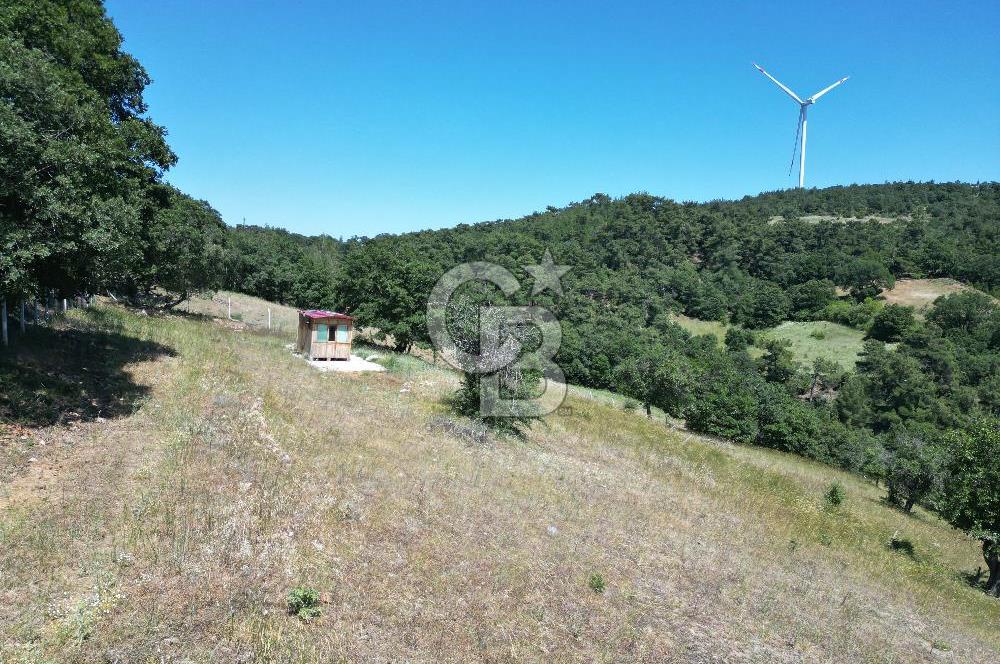 ÇANAKKALE MERKEZ BODURLAR KÖYÜNDE 7.014 M² SATILIK TARLA