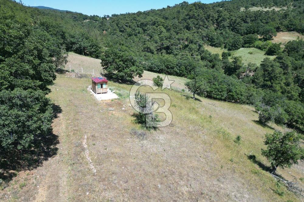 ÇANAKKALE MERKEZ BODURLAR KÖYÜNDE 7.014 M² SATILIK TARLA