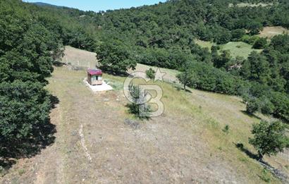ÇANAKKALE MERKEZ BODURLAR KÖYÜNDE 7.014 M² SATILIK TARLA