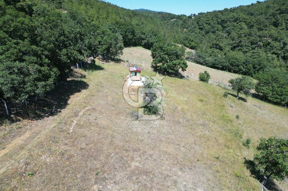 ÇANAKKALE MERKEZ BODURLAR KÖYÜNDE 7.014 M² SATILIK TARLA