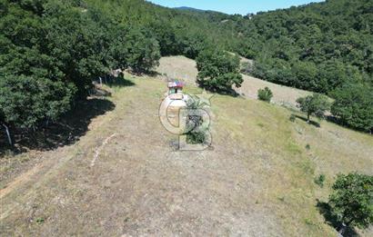 ÇANAKKALE MERKEZ BODURLAR KÖYÜNDE 7.014 M² SATILIK TARLA