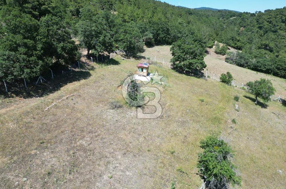 ÇANAKKALE MERKEZ BODURLAR KÖYÜNDE 7.014 M² SATILIK TARLA