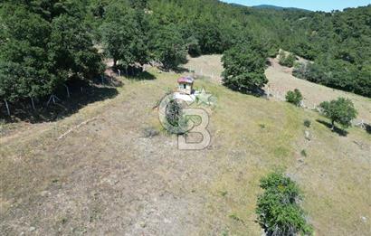 ÇANAKKALE MERKEZ BODURLAR KÖYÜNDE 7.014 M² SATILIK TARLA