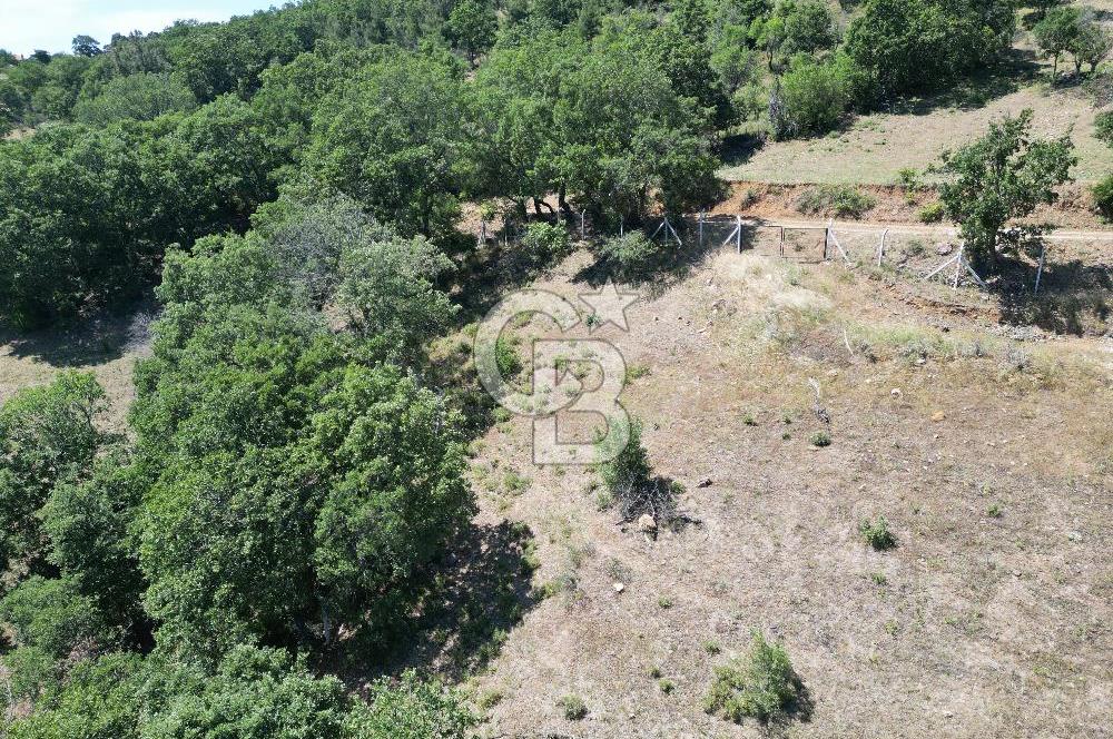 ÇANAKKALE MERKEZ BODURLAR KÖYÜNDE 7.014 M² SATILIK TARLA