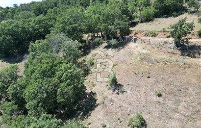 ÇANAKKALE MERKEZ BODURLAR KÖYÜNDE 7.014 M² SATILIK TARLA