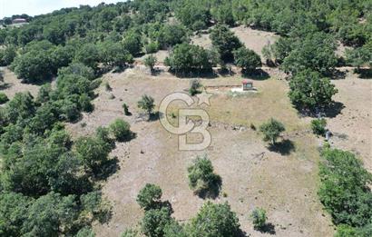 ÇANAKKALE MERKEZ BODURLAR KÖYÜNDE 7.014 M² SATILIK TARLA