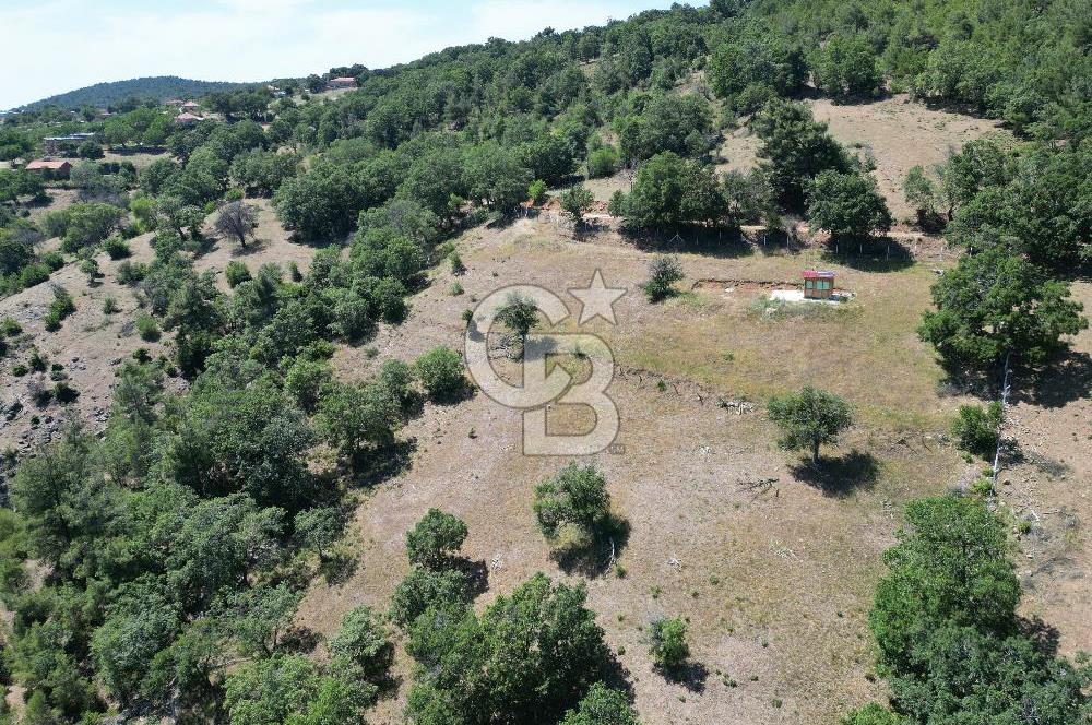 ÇANAKKALE MERKEZ BODURLAR KÖYÜNDE 7.014 M² SATILIK TARLA