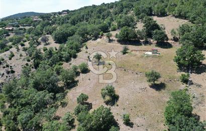 ÇANAKKALE MERKEZ BODURLAR KÖYÜNDE 7.014 M² SATILIK TARLA