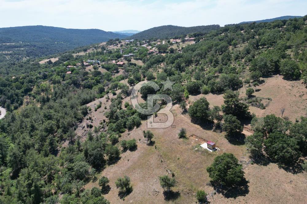 ÇANAKKALE MERKEZ BODURLAR KÖYÜNDE 7.014 M² SATILIK TARLA