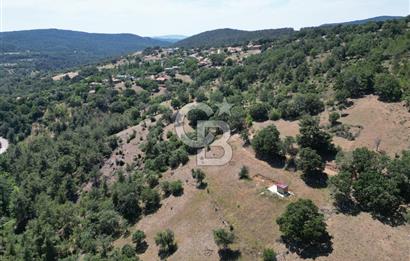 ÇANAKKALE MERKEZ BODURLAR KÖYÜNDE 7.014 M² SATILIK TARLA
