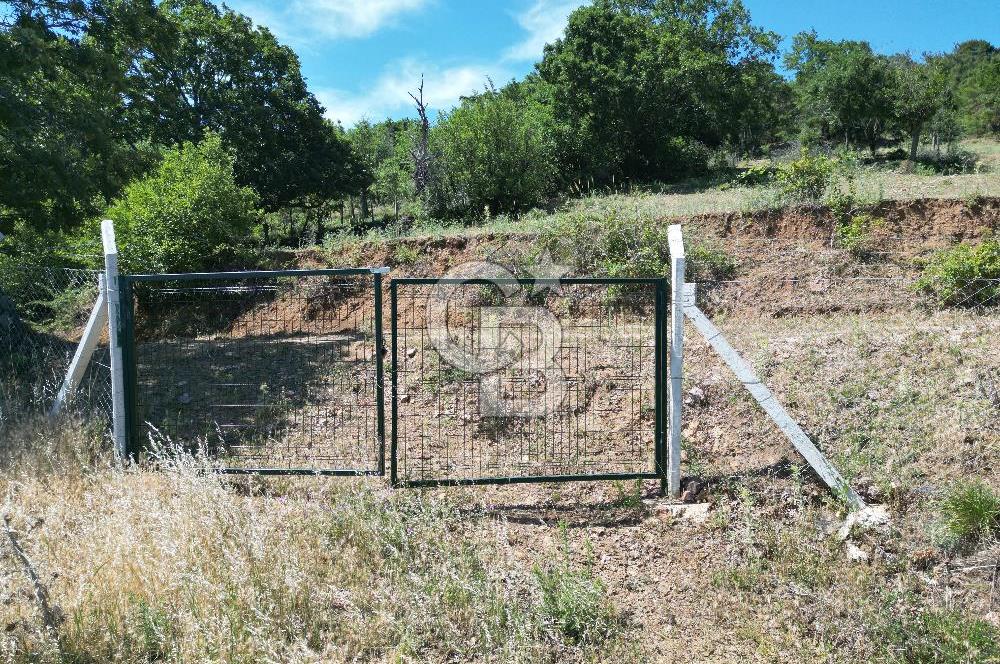 ÇANAKKALE MERKEZ BODURLAR KÖYÜNDE 7.014 M² SATILIK TARLA