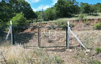 ÇANAKKALE MERKEZ BODURLAR KÖYÜNDE 7.014 M² SATILIK TARLA