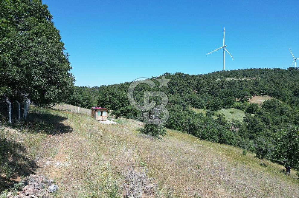 ÇANAKKALE MERKEZ BODURLAR KÖYÜNDE 7.014 M² SATILIK TARLA