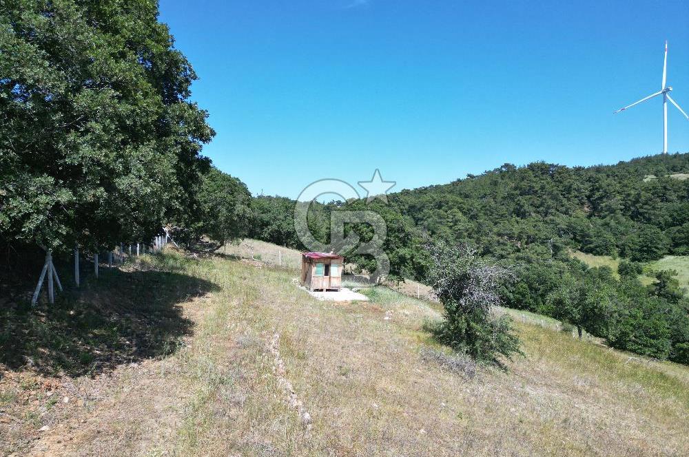 ÇANAKKALE MERKEZ BODURLAR KÖYÜNDE 7.014 M² SATILIK TARLA