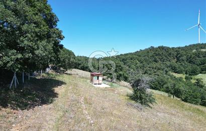 ÇANAKKALE MERKEZ BODURLAR KÖYÜNDE 7.014 M² SATILIK TARLA