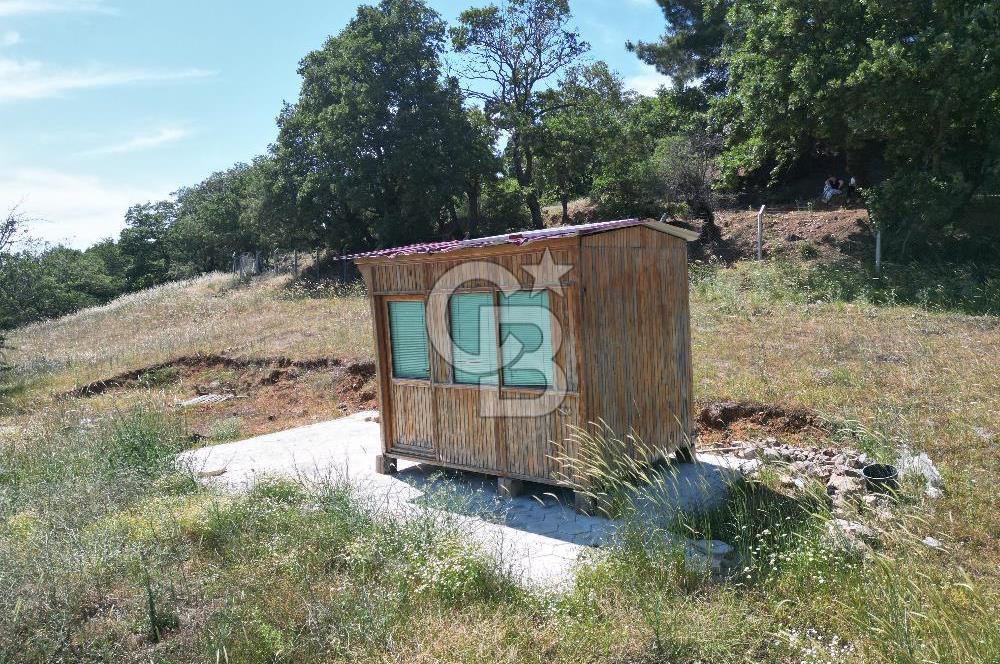 ÇANAKKALE MERKEZ BODURLAR KÖYÜNDE 7.014 M² SATILIK TARLA