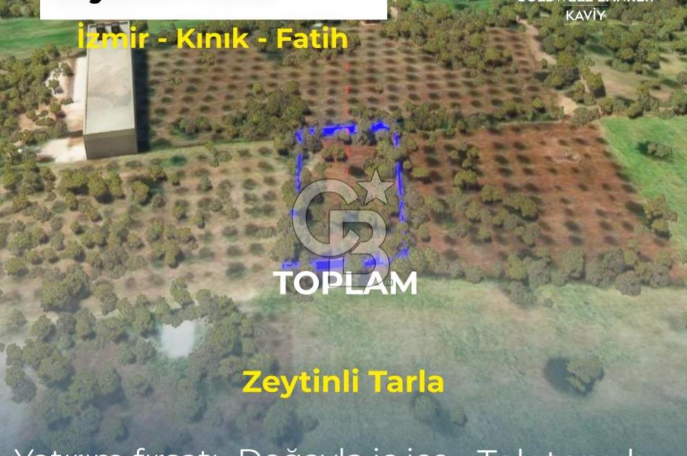 İZMİR KINIK FATİH MAHALLESİNDE SATILIK ZEYTİNLİ TARLA