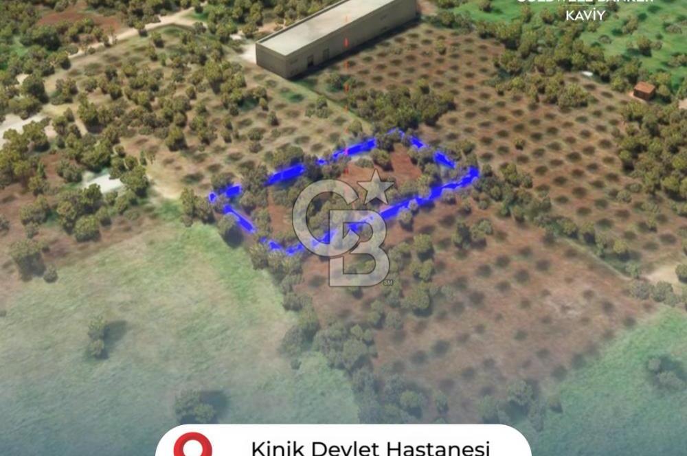 İZMİR KINIK FATİH MAHALLESİNDE SATILIK ZEYTİNLİ TARLA