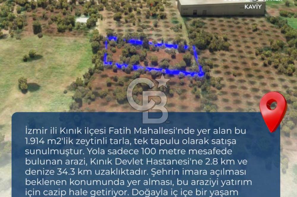 İZMİR KINIK FATİH MAHALLESİNDE SATILIK ZEYTİNLİ TARLA