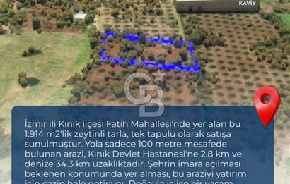 İZMİR KINIK FATİH MAHALLESİNDE SATILIK ZEYTİNLİ TARLA