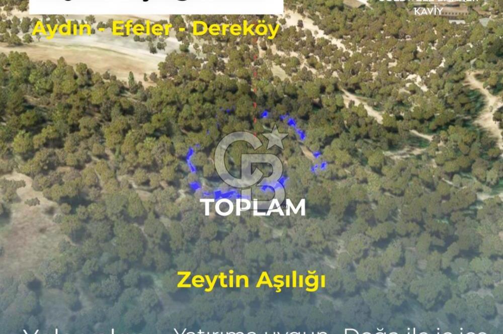 AYDIN EFELER DEREKÖY'DE SATILIK TARLA
