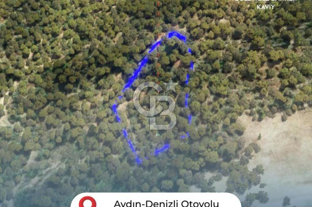AYDIN EFELER DEREKÖY'DE SATILIK TARLA