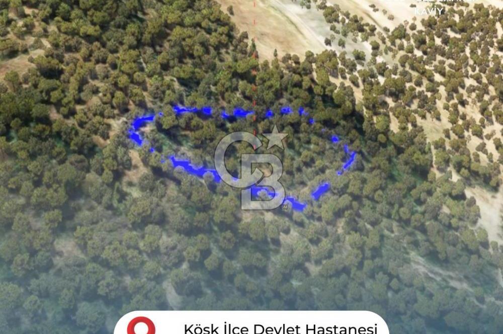 AYDIN EFELER DEREKÖY'DE SATILIK TARLA