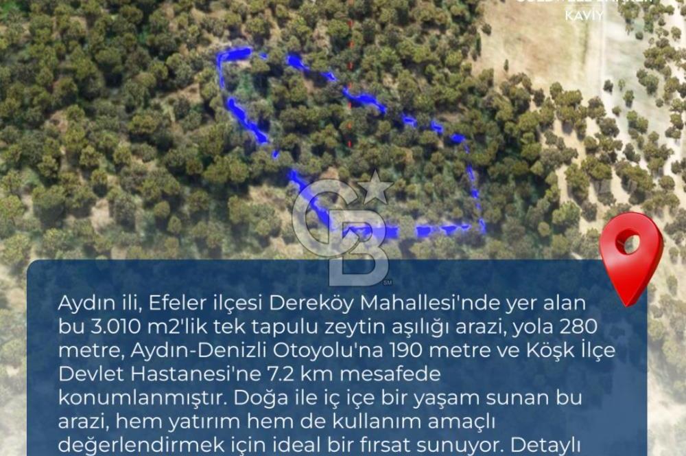 AYDIN EFELER DEREKÖY'DE SATILIK TARLA