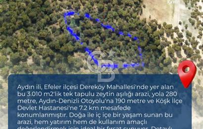 AYDIN EFELER DEREKÖY'DE SATILIK TARLA
