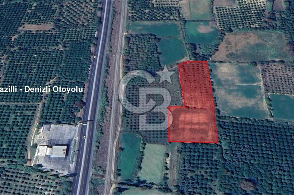 NAZİLLİ SOĞUKKUYU’DA SATILIK 3.550 m² VERİMLİ TARLA