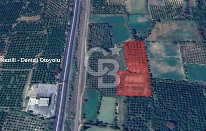 NAZİLLİ SOĞUKKUYU’DA SATILIK 3.550 m² VERİMLİ TARLA