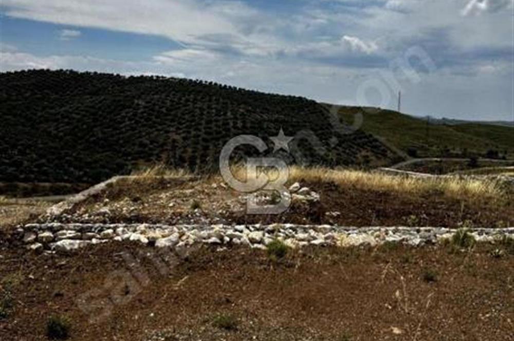 Seferihisar Çolakibrahimbey ARSA 