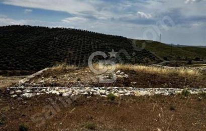Seferihisar Çolakibrahimbey ARSA 