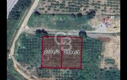 Güzelbahçe de MALİKANELİK 1500m2 ARSA