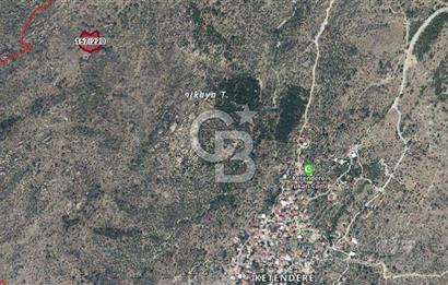 Muğla Milasta Satılık Yatırımlık Zeytinlik
