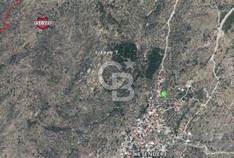 Muğla Milasta Satılık Yatırımlık Zeytinlik