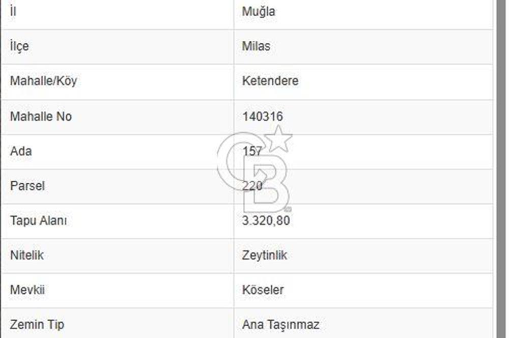 Muğla Milasta Satılık Yatırımlık Zeytinlik