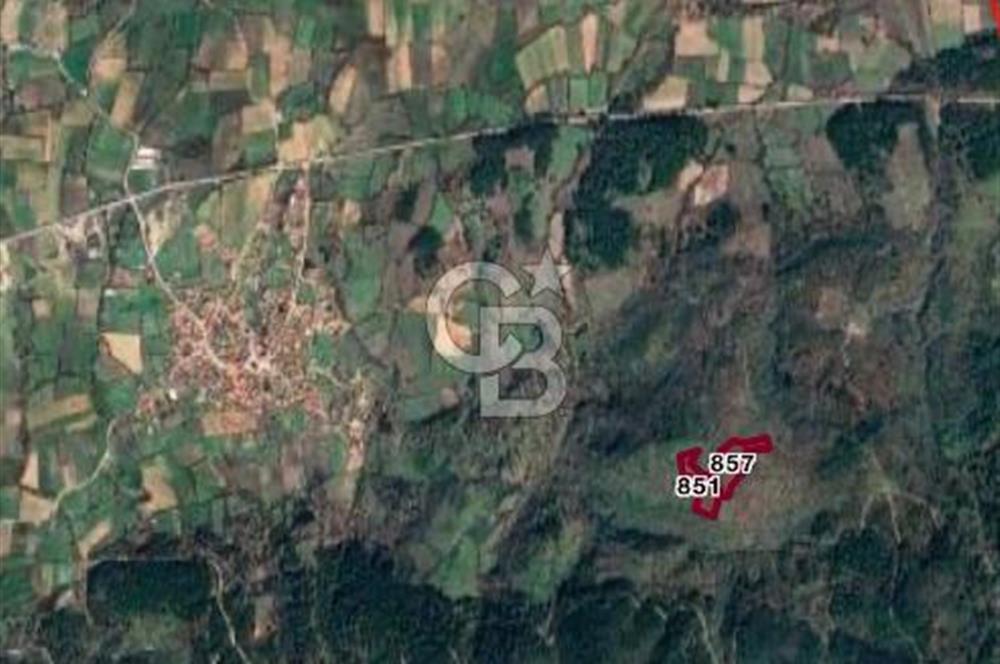 ÇANAKKALE YENİCE SEYVAN KÖYÜ YAN YANA SATILIK 2 ADET TARLA