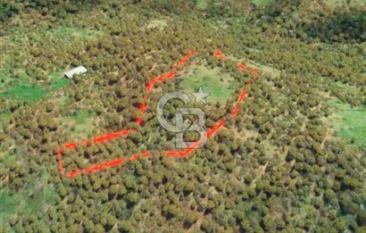 ÇANAKKALE YENİCE SEYVAN KÖYÜ YAN YANA SATILIK 2 ADET TARLA