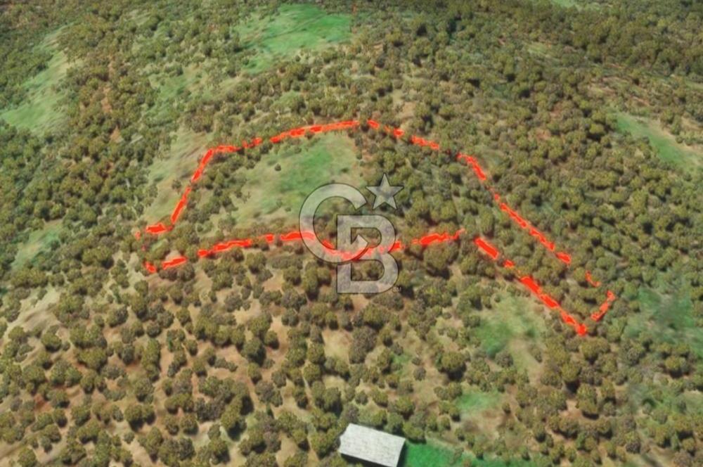 ÇANAKKALE YENİCE SEYVAN KÖYÜ YAN YANA SATILIK 2 ADET TARLA